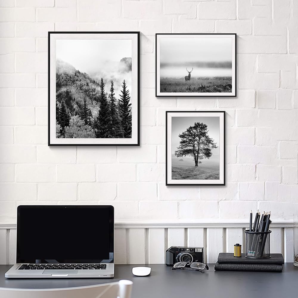 Amazon.com: SunFlax Natural Landscape Framed Wall Art - Mysterious